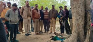 WhatsApp Image 2024-01-17 at 6.35.29 PM