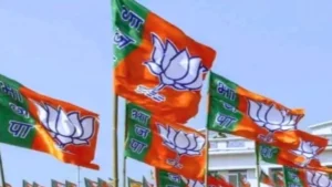 15_02_2024-bjp_flag_1_23653968