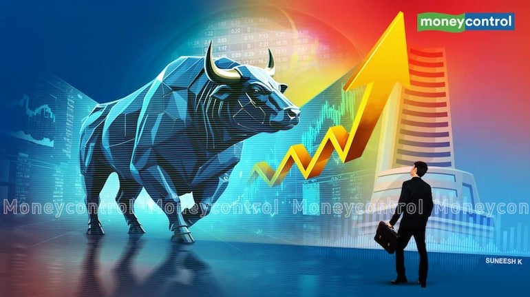 bull6