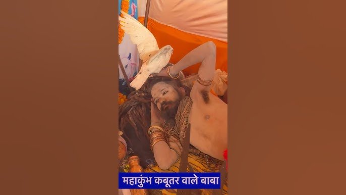 महाकुंभ में कबूतर वाले बाबा ने भी जमाया है डेरा, इस अनोखे संत ने बताया-क्‍या है सबसे बड़ी सेवा