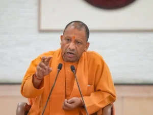 yogi_1744818080847_1744818081253