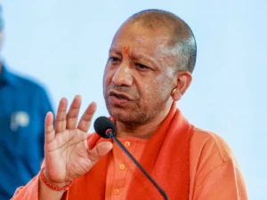 yogi_1745496972665_1745496973017