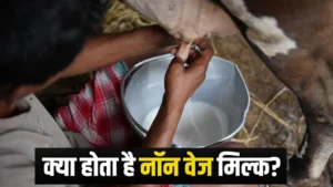 indian-america-trade-deal-non-veg-milk-trump-tarrif