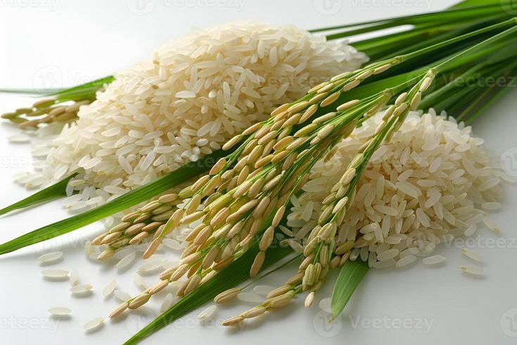 ईरान-इजराइल तनाव का असर: सस्ते हुए बासमती चावल, मखाना और मसाले