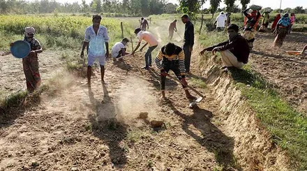 मनरेगा के तहत काम