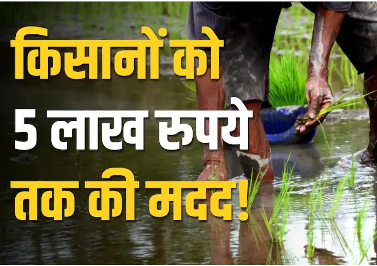 कृषक दुर्घटना कल्याण योजना क्या है? जानें पात्रता, लाभ और आवेदन प्रक्रिया